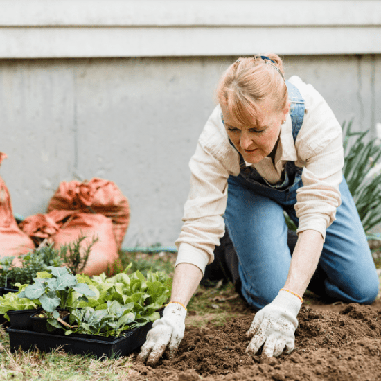 posos cafe para plantas